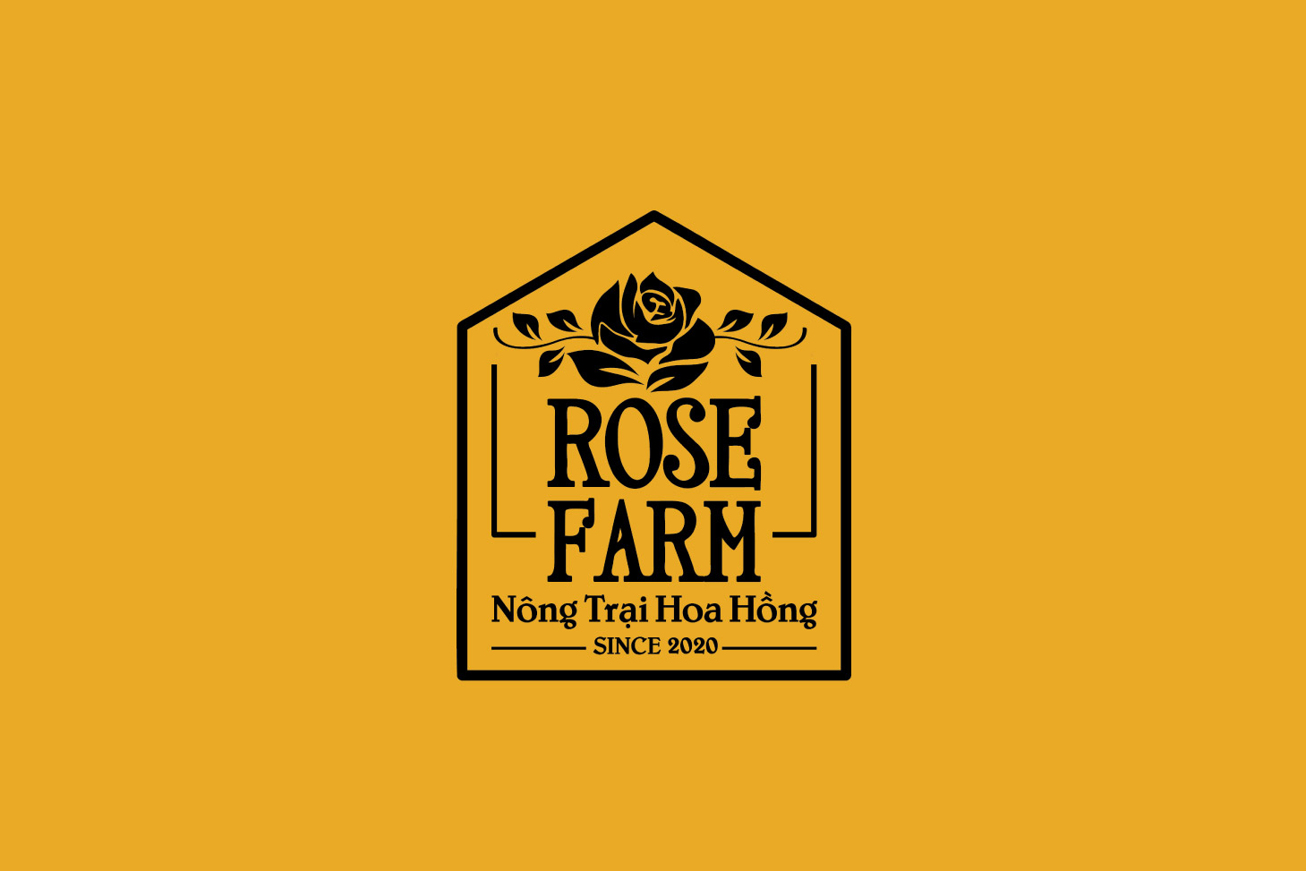 rose farm-03.jpg