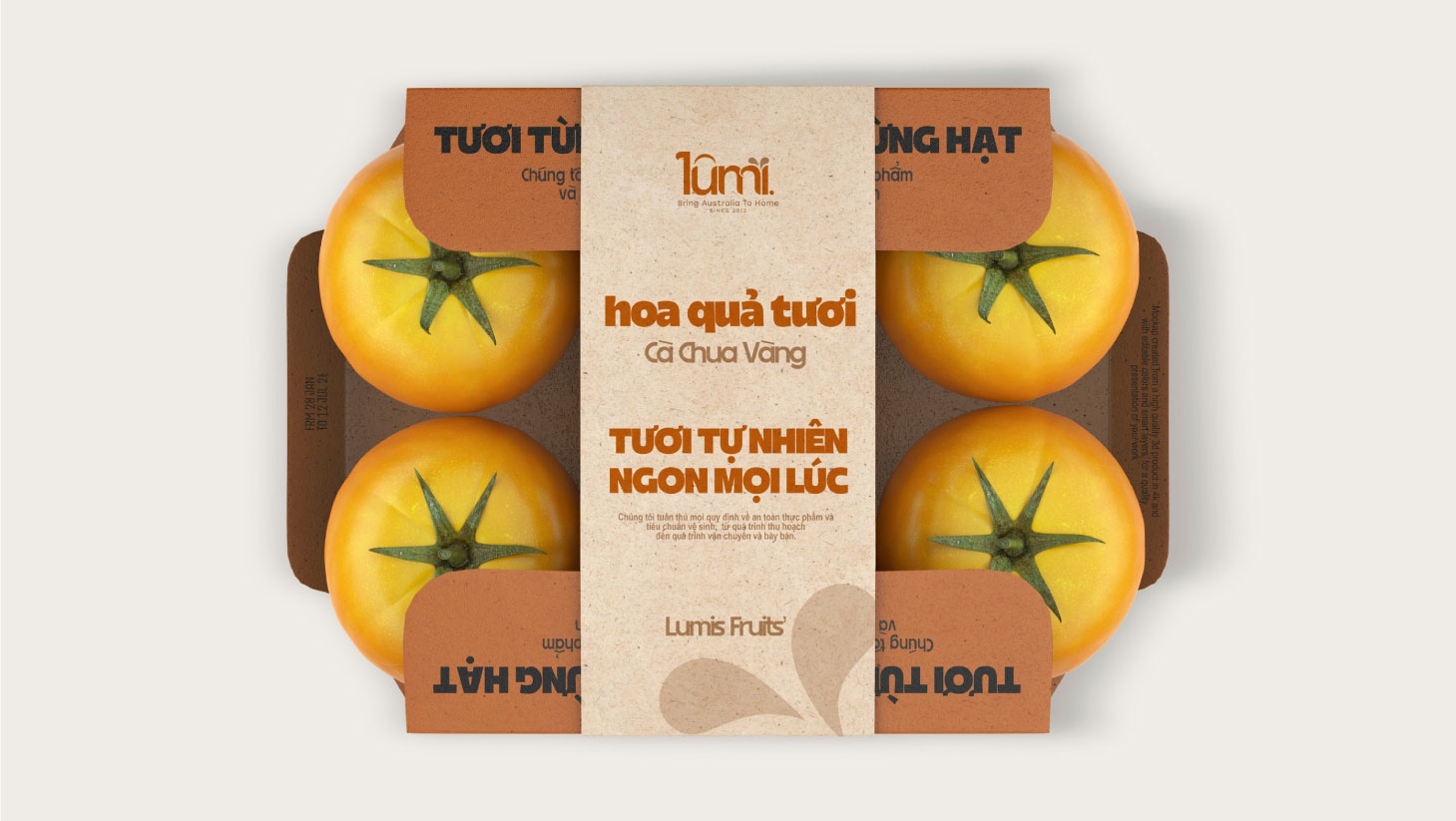 thiet-ke-bao-bi-07.jpg
