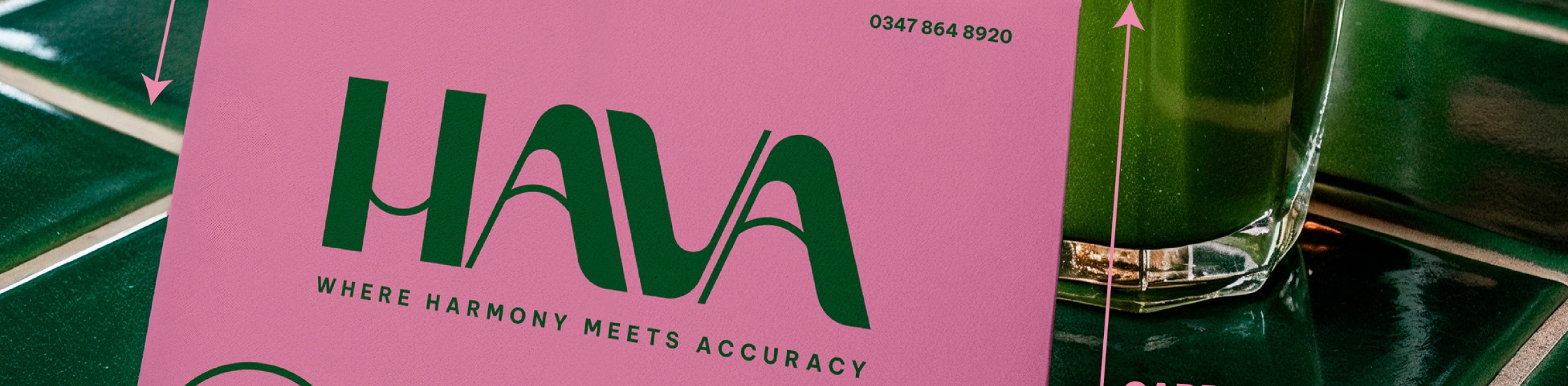 THIẾT KẾ LOGO THƯƠNG HIỆU HAVA