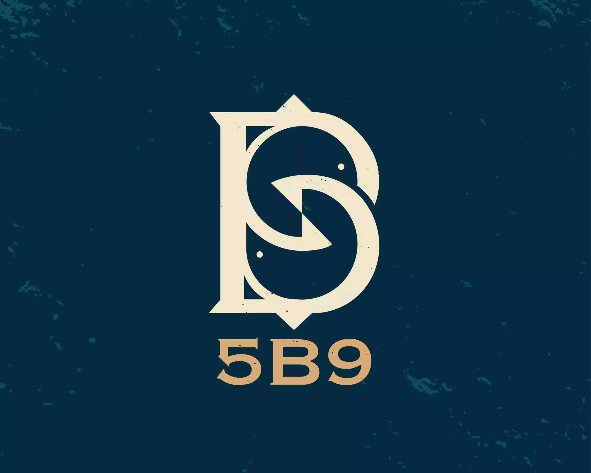 THIẾT KẾ LOGO 5B9