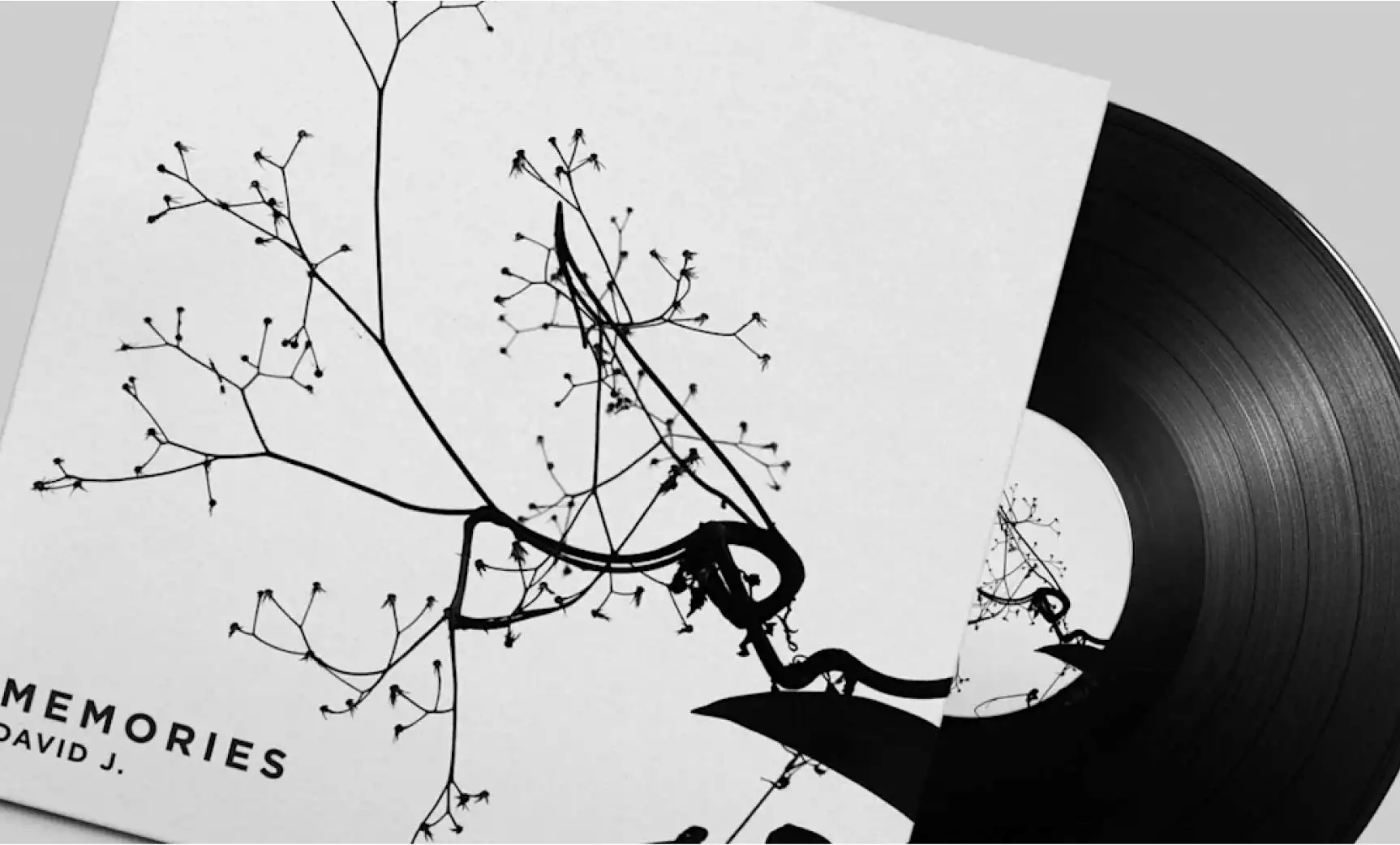 MINIMALISM VÀ MAXIMALISM: LỰA CHỌN NÀO TỐT HƠN CHO THIẾT KẾ BAO BÌ CỦA BẠN?