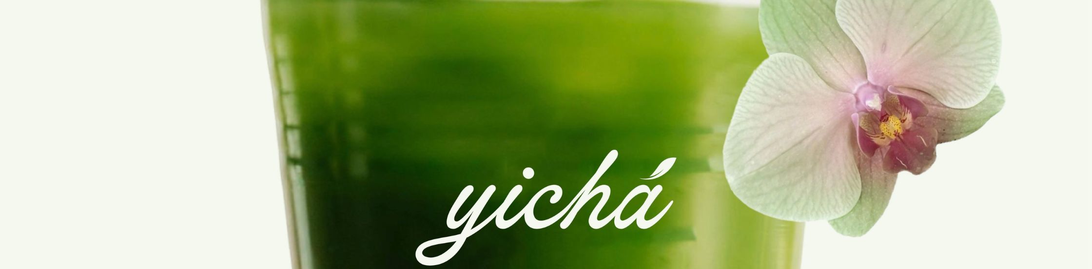 THIẾT KẾ LOGO THƯƠNG HIỆU YICHÁ