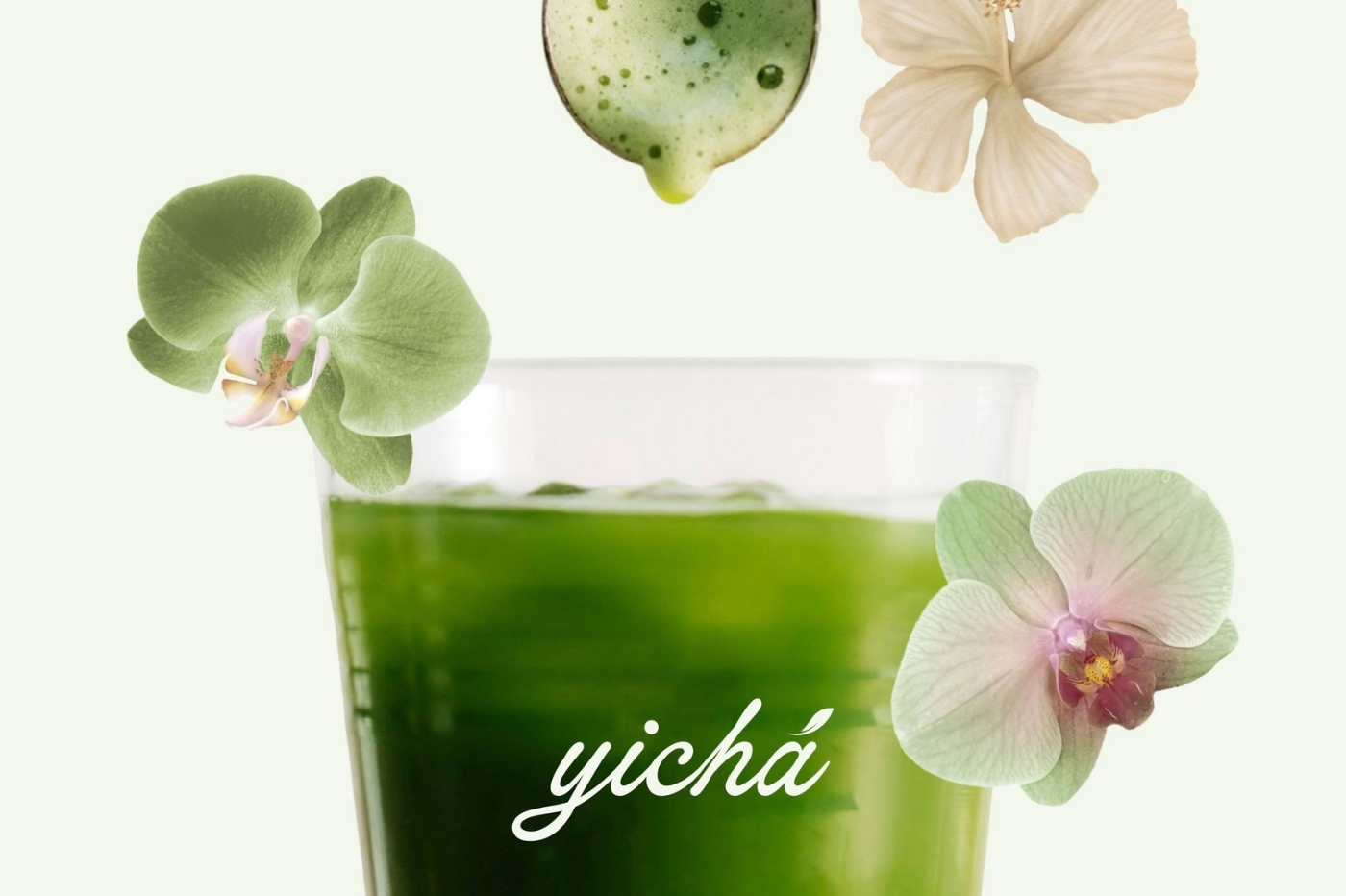 13+ MẪU THIẾT KẾ LOGO QUÁN MATCHA TƯƠI NGON, MÁT LÀNH
