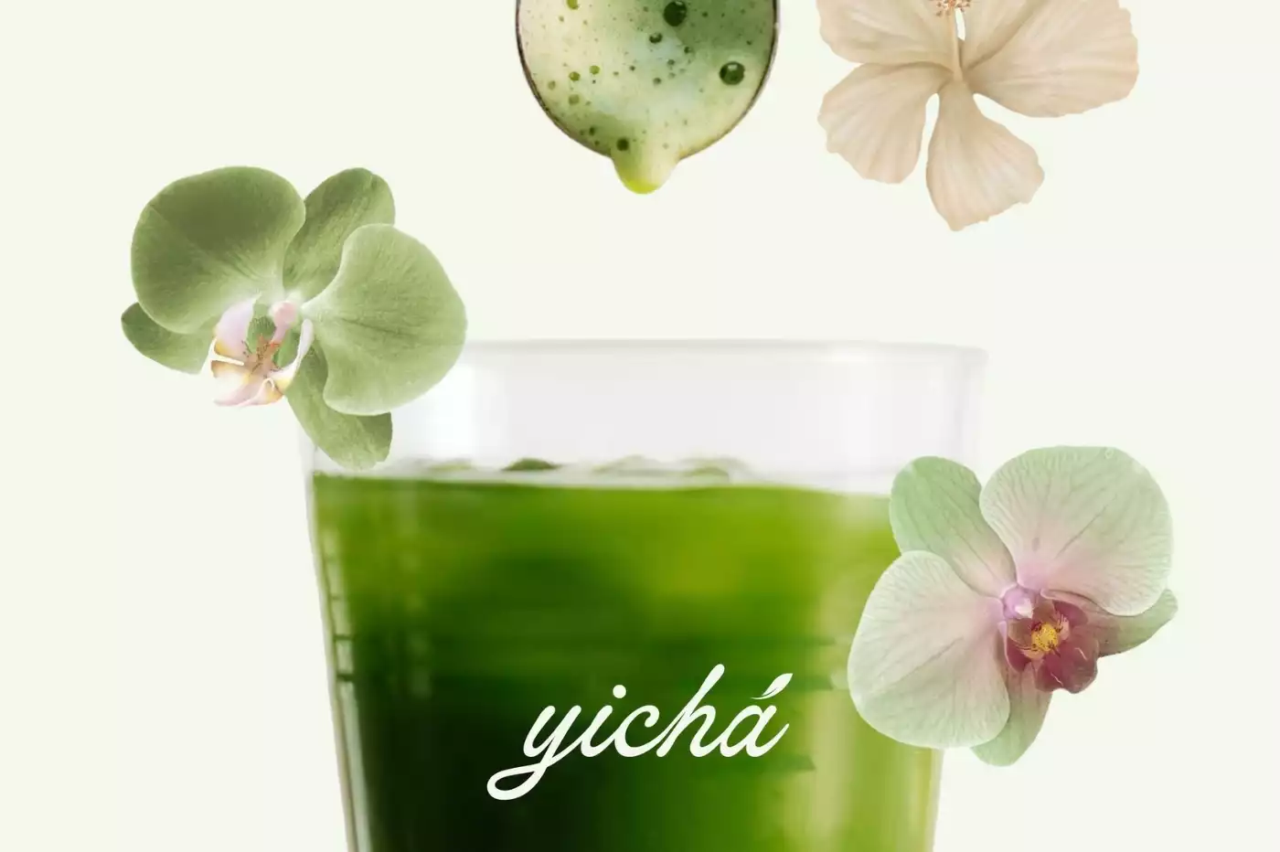 13+ MẪU THIẾT KẾ LOGO QUÁN MATCHA TƯƠI NGON, MÁT LÀNH