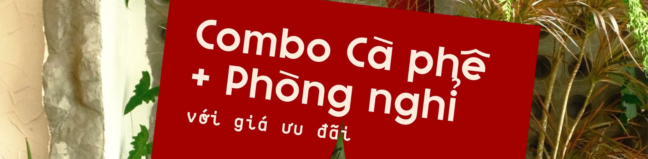 THIẾT KẾ LOGO THƯƠNG HIỆU ĐỎ ĐỎ