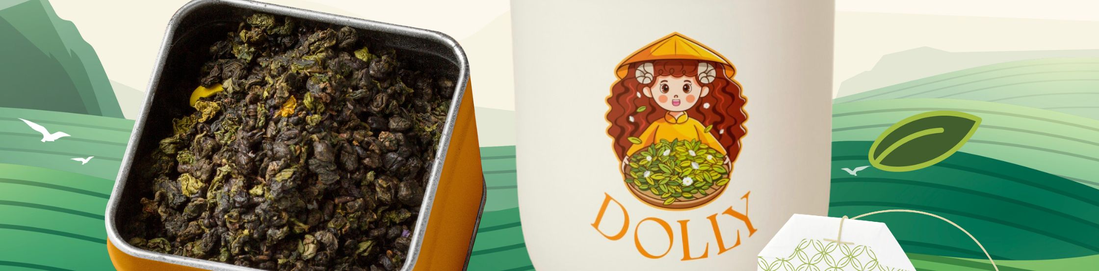 THIẾT KẾ LOGO DOLLY